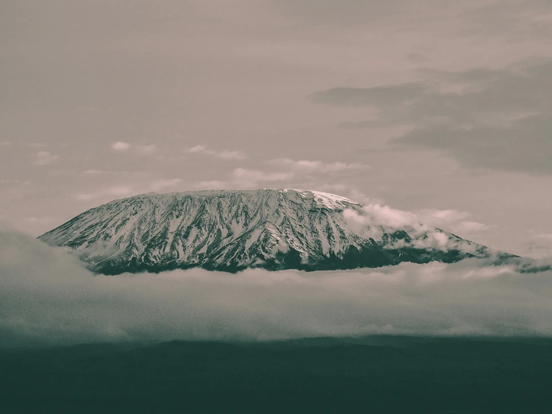Mount Kilimanjaro's summit rising above a sea of clouds, seen from a distance