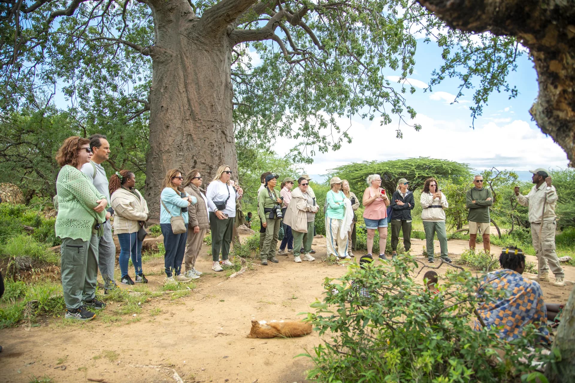 Conservation & Culture — representative photo
