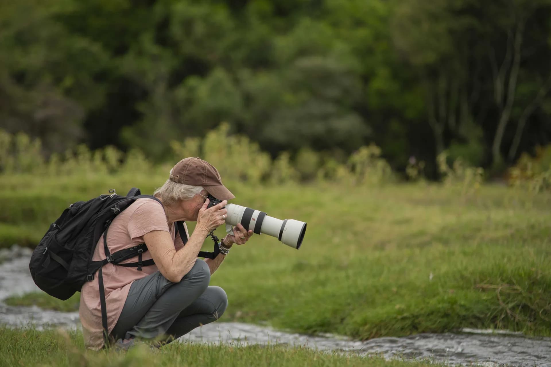 Photography Safaris