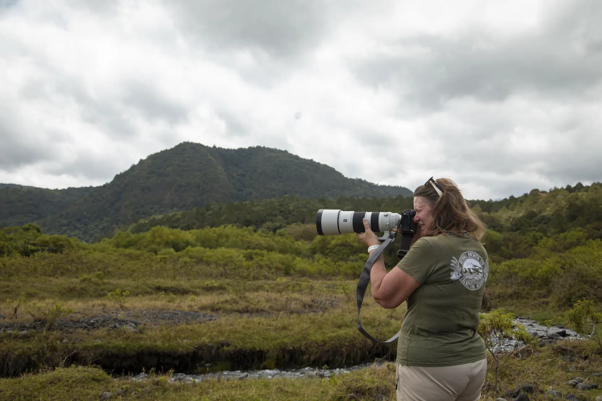 Full Safari Day — representative photo