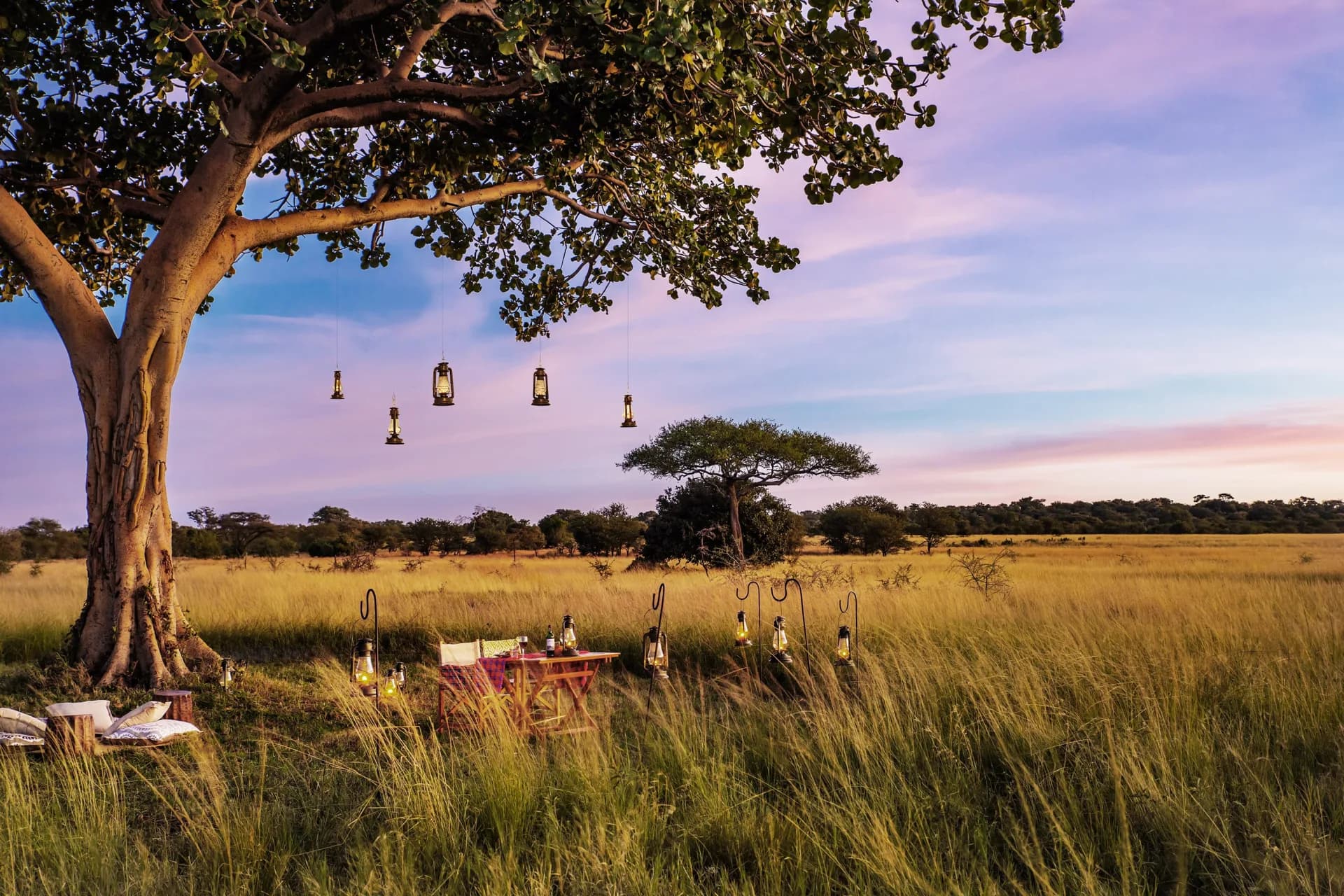 Fly to the Serengeti — representative photo