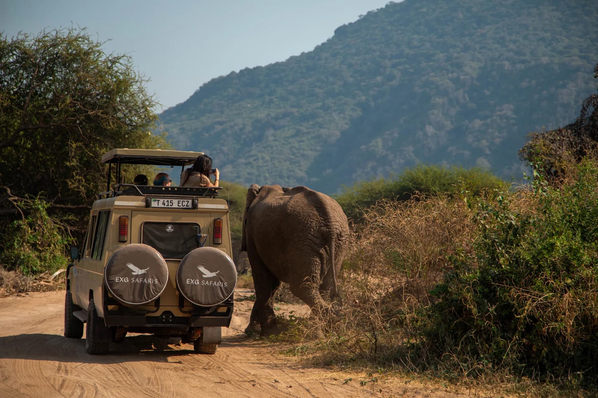 Guests photographing an elephant from an EXG Safaris vehicle