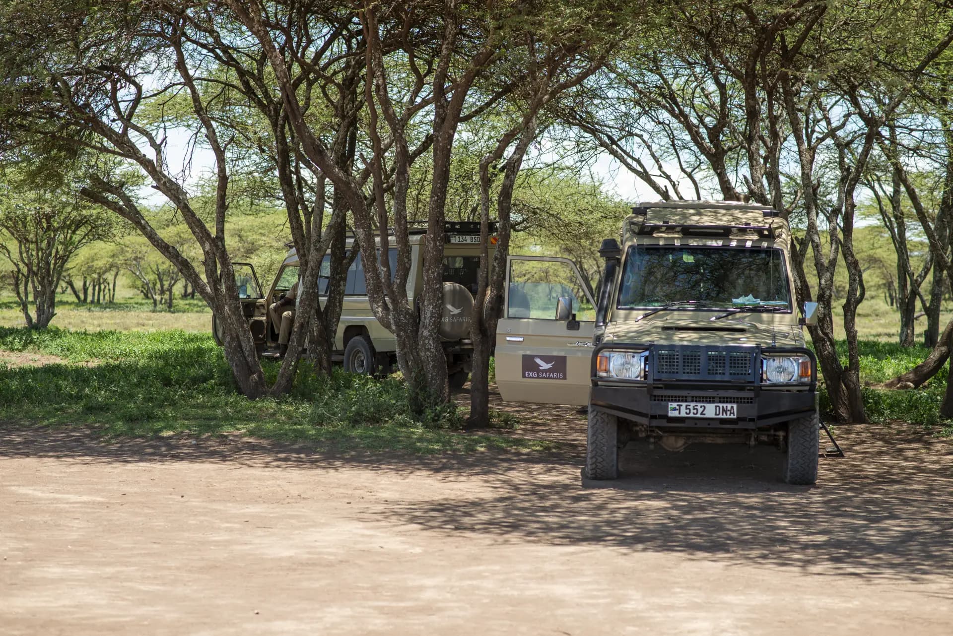 10-Day Corporate & Executive Safari