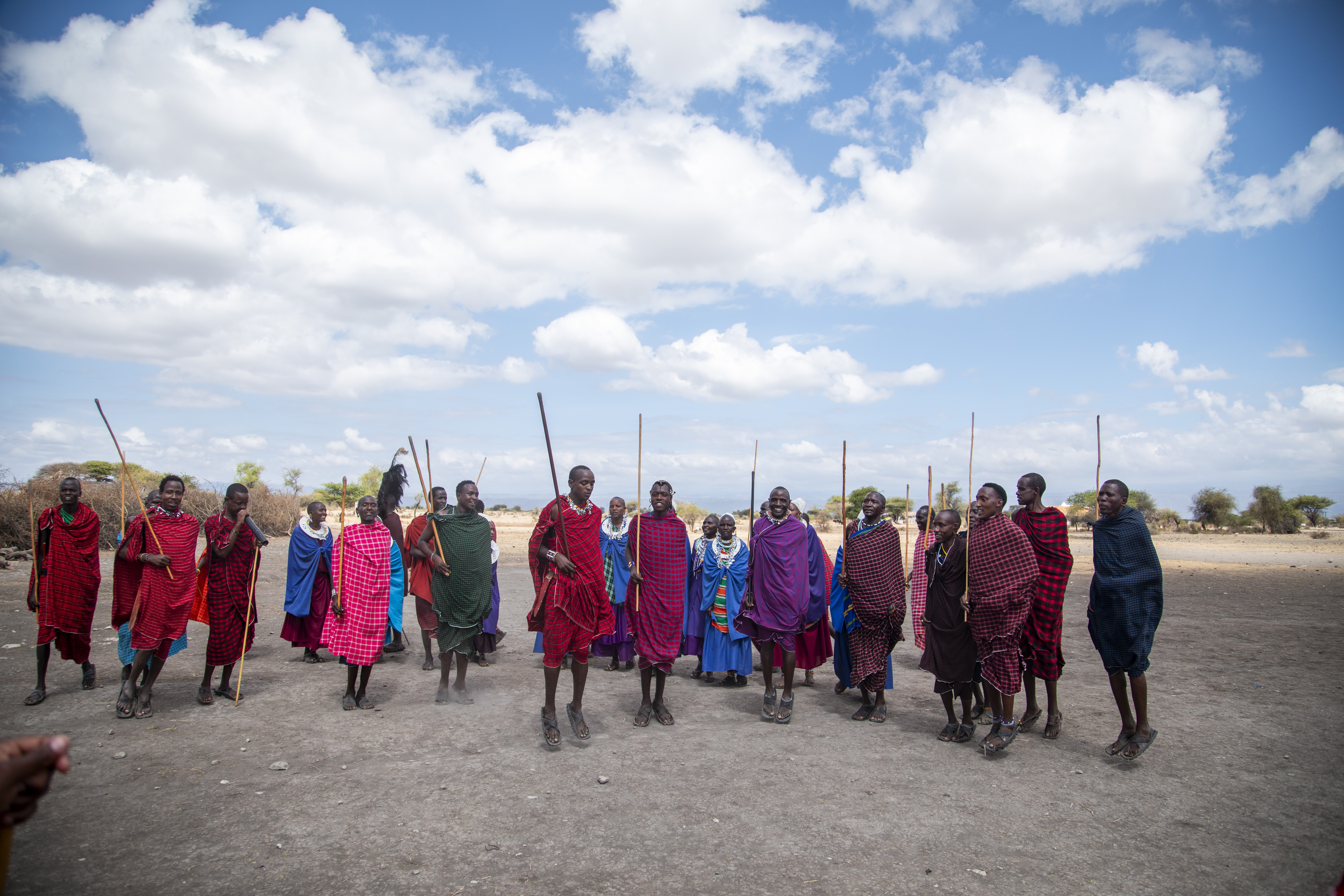 When to Visit Tanzania for Best Wildlife
