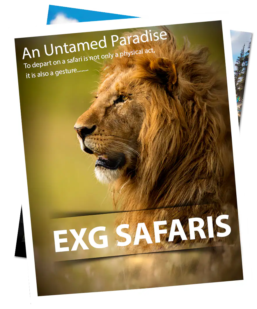 EXG Safaris safari brochure cover