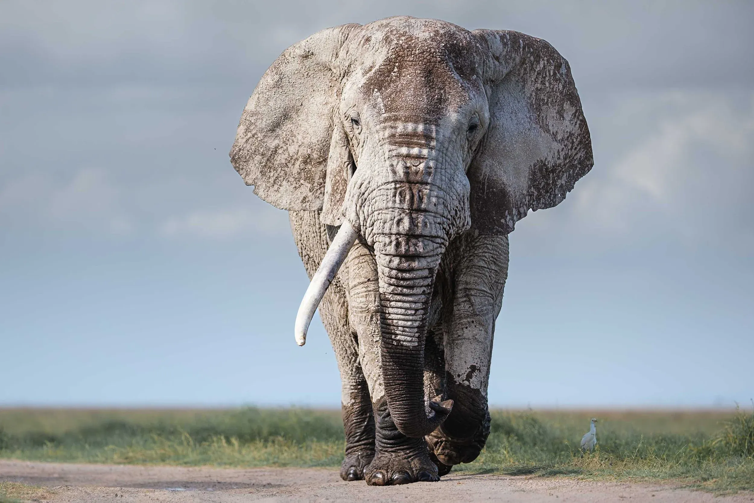 Kenya safari destination