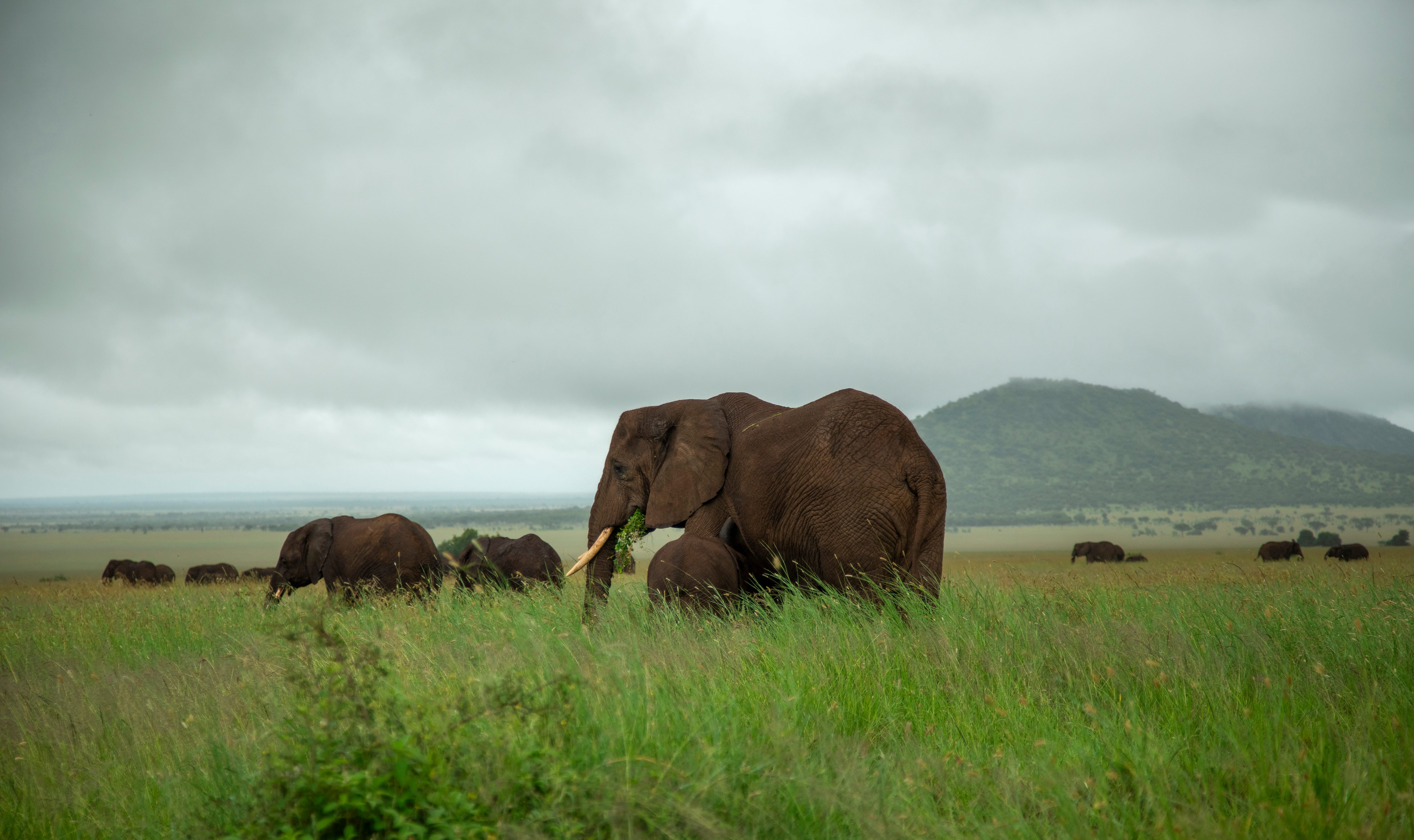 Meet the EXG Safaris Team · Arusha National Park