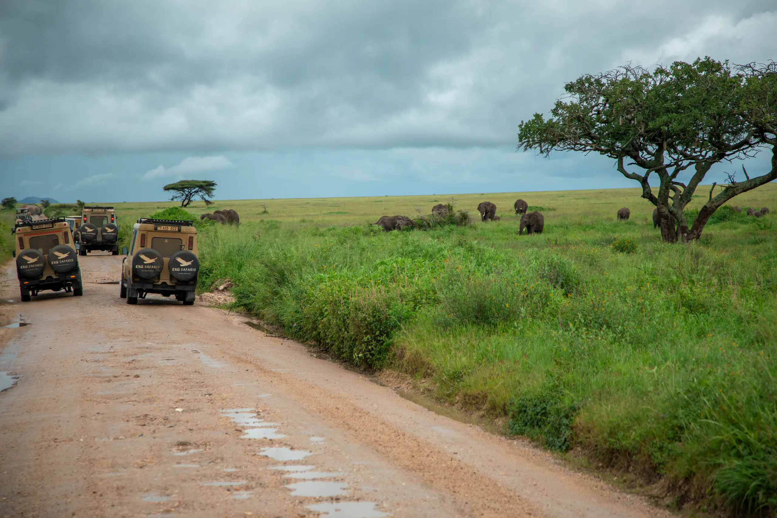 Ngorongoro private safari
