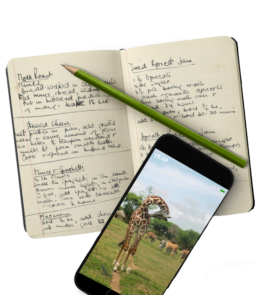 Safari journal