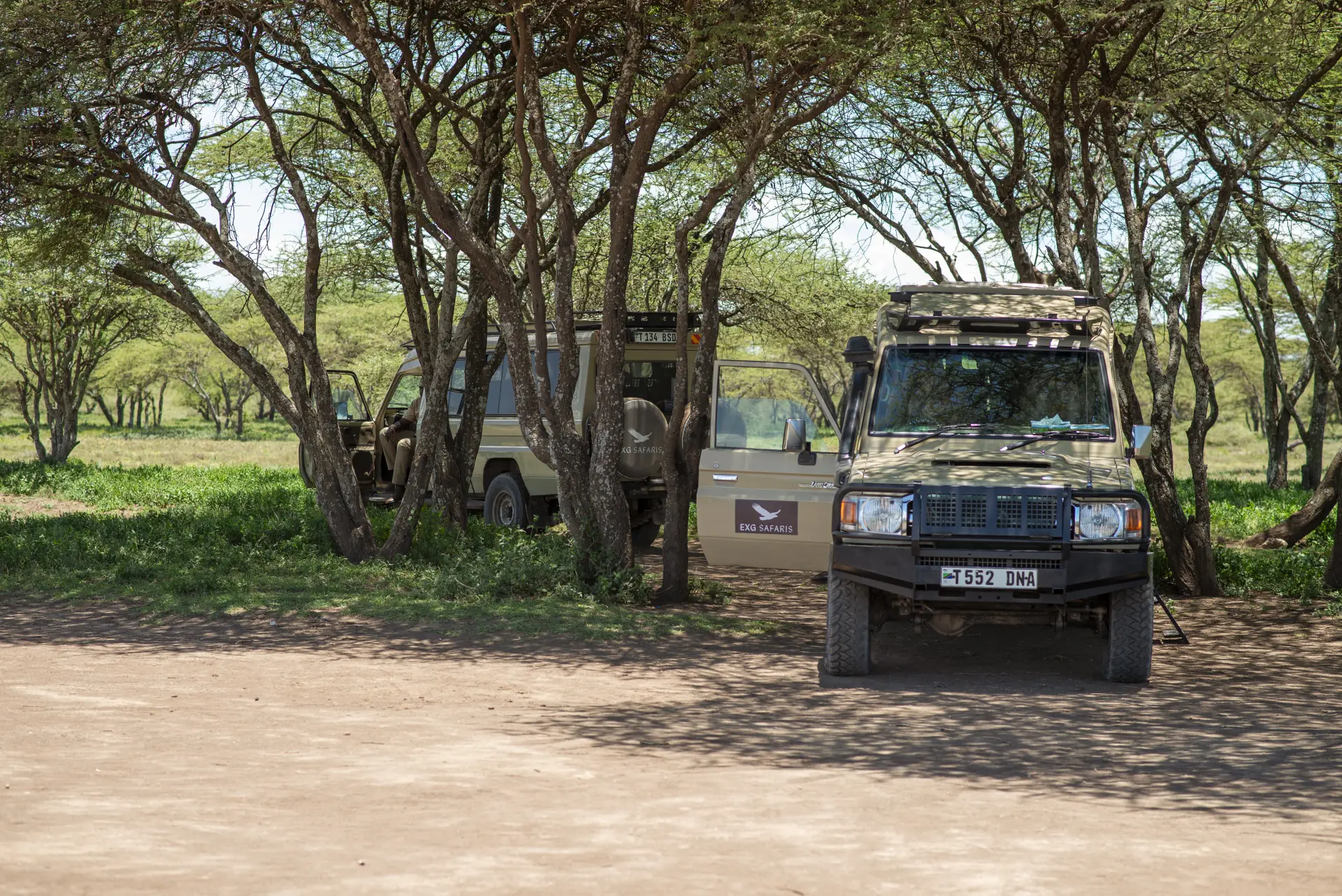 10-Day Corporate & Executive Safari