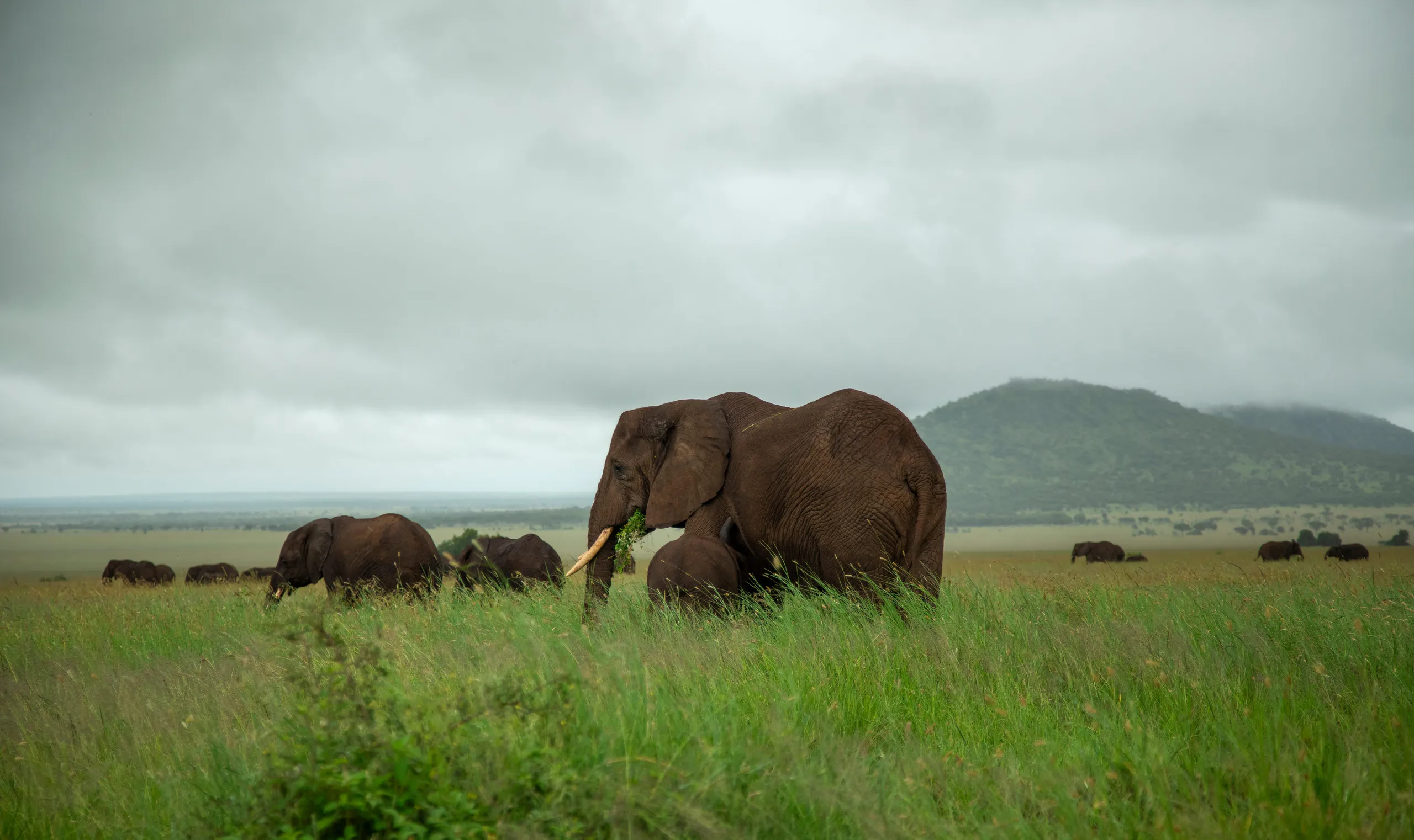 Meet EXG Safaris Team + Arusha National Park