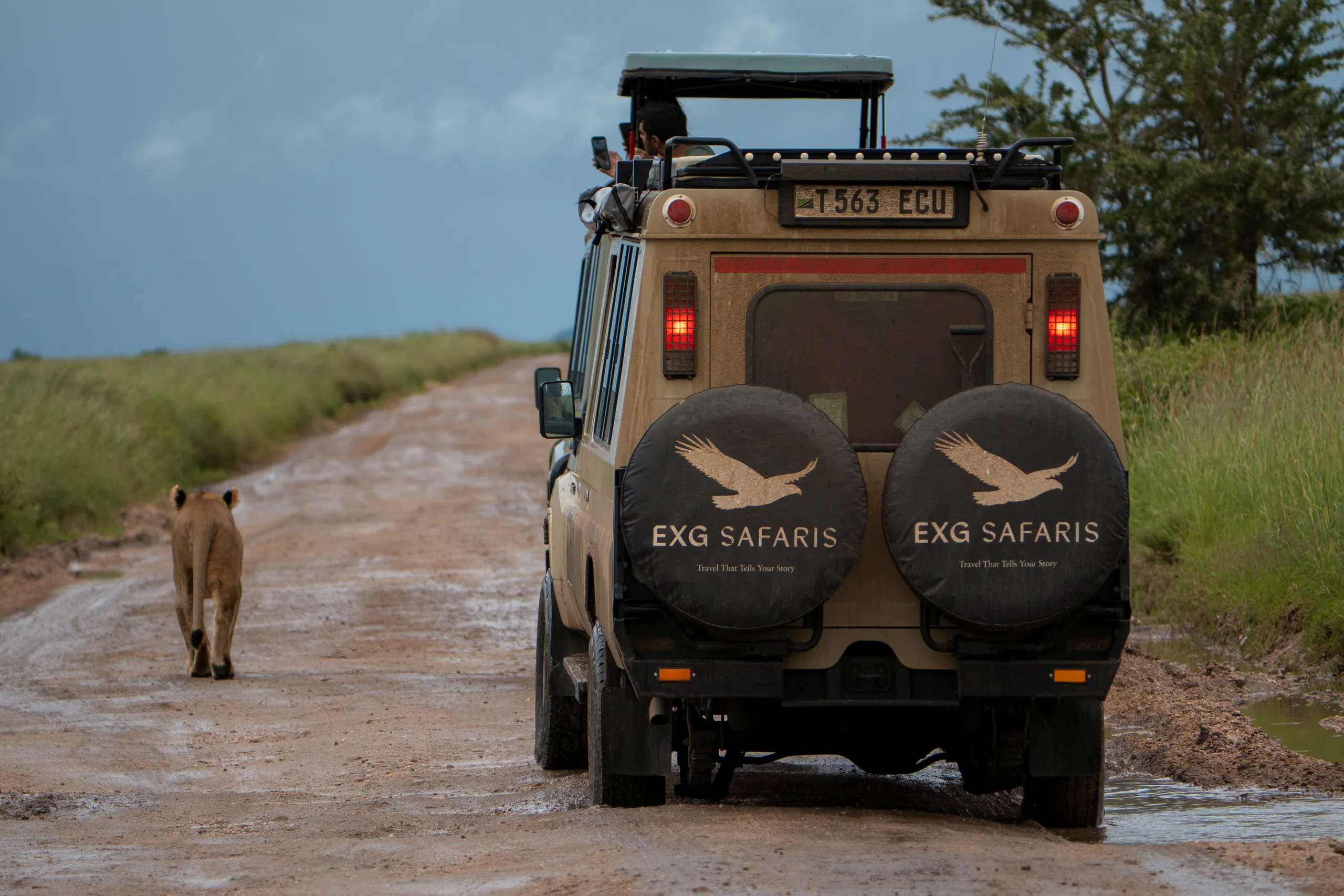 Serengeti Site Inspections + Continued Game Viewing