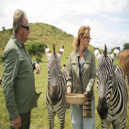 Your HR Team Is Not a Travel Agency: How EXG Safaris Handles Every Detail of Your Corporate Retreat