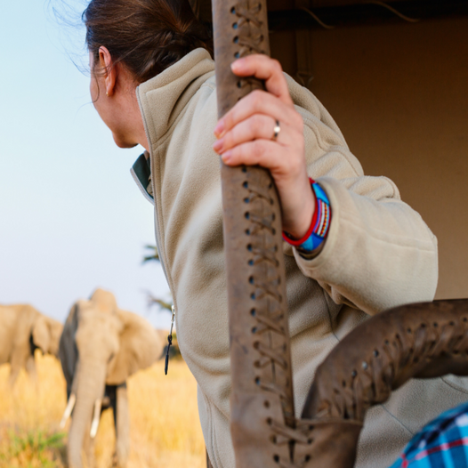 After the Stadium, Find the Silence: Why World Cup Fans in LA, NYC & Miami Should Take Their “Overtime” in Serengeti & Ngorongoro