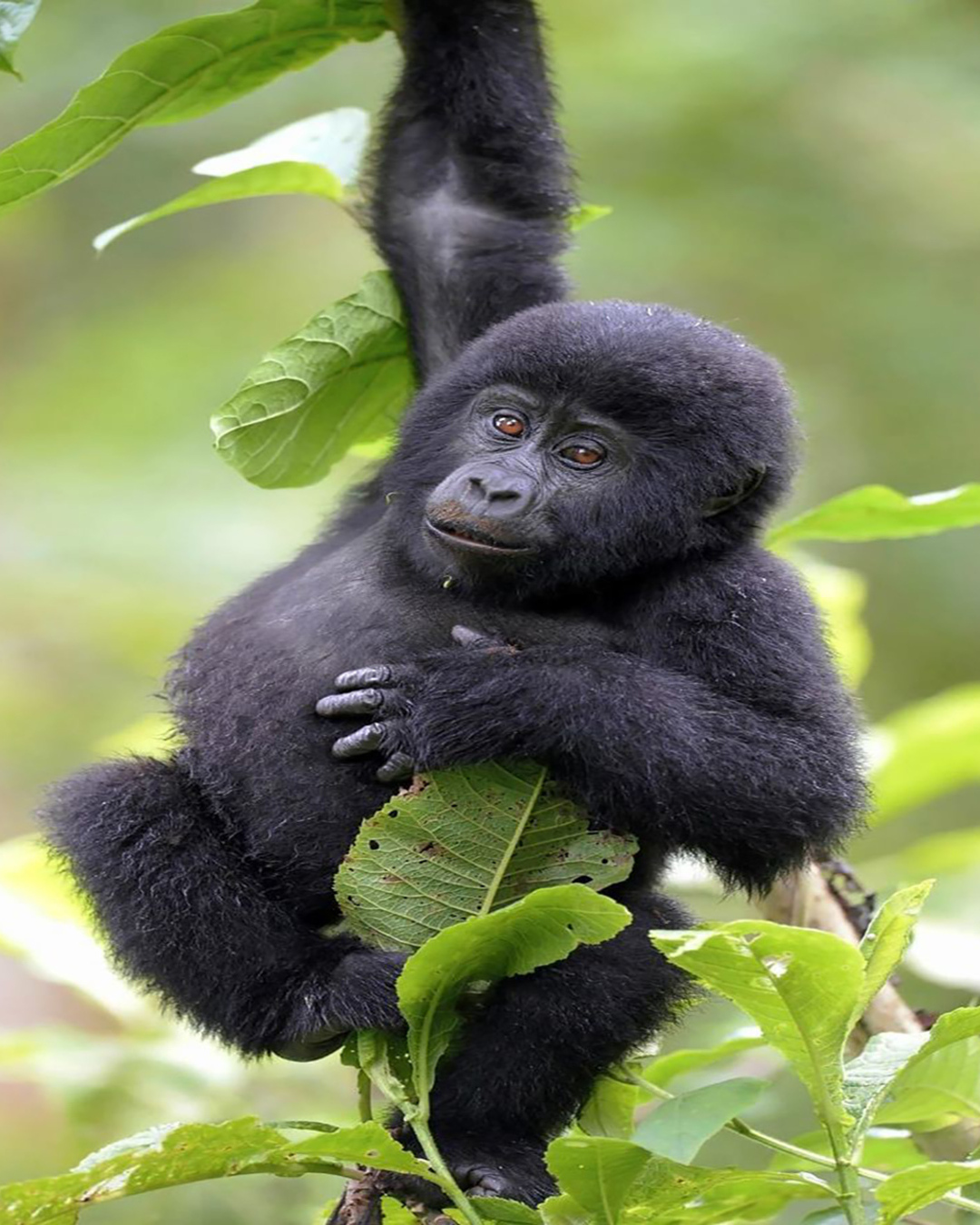 Day 1 – Is Africa Safe for My Kids? The Real Story from Tanzania Safaris