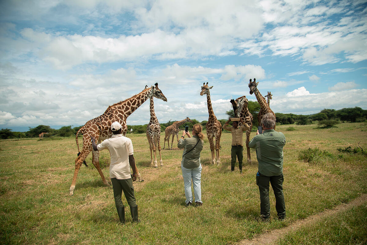 Stop Paying the “Safari Stress Tax” (and Give Your Kids a Trip They’ll Talk About Forever)