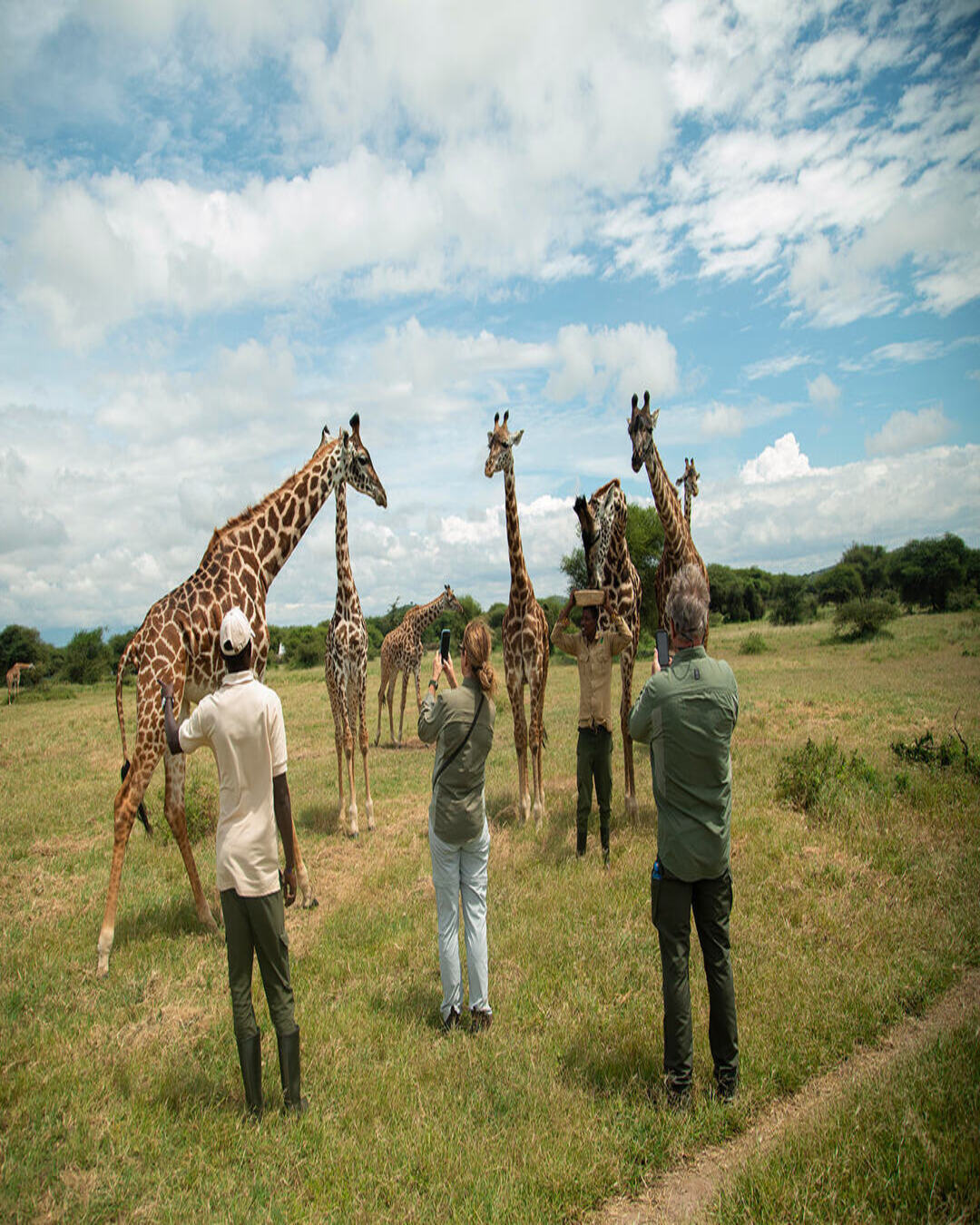 Safety, Health & Comfort on Safari: Straight Answers for Leaders Who Need to Protect Their People