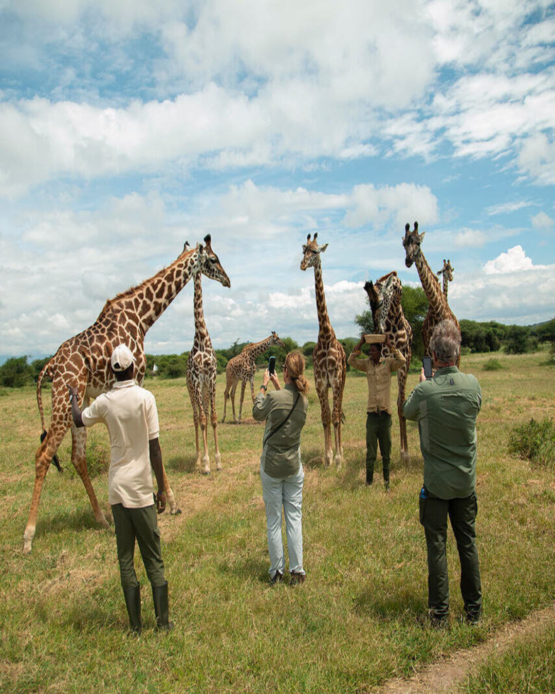 From Zoom Squares to Real Humans: Why Teams Bond Faster in the Serengeti Than in Any Hotel Ballroom