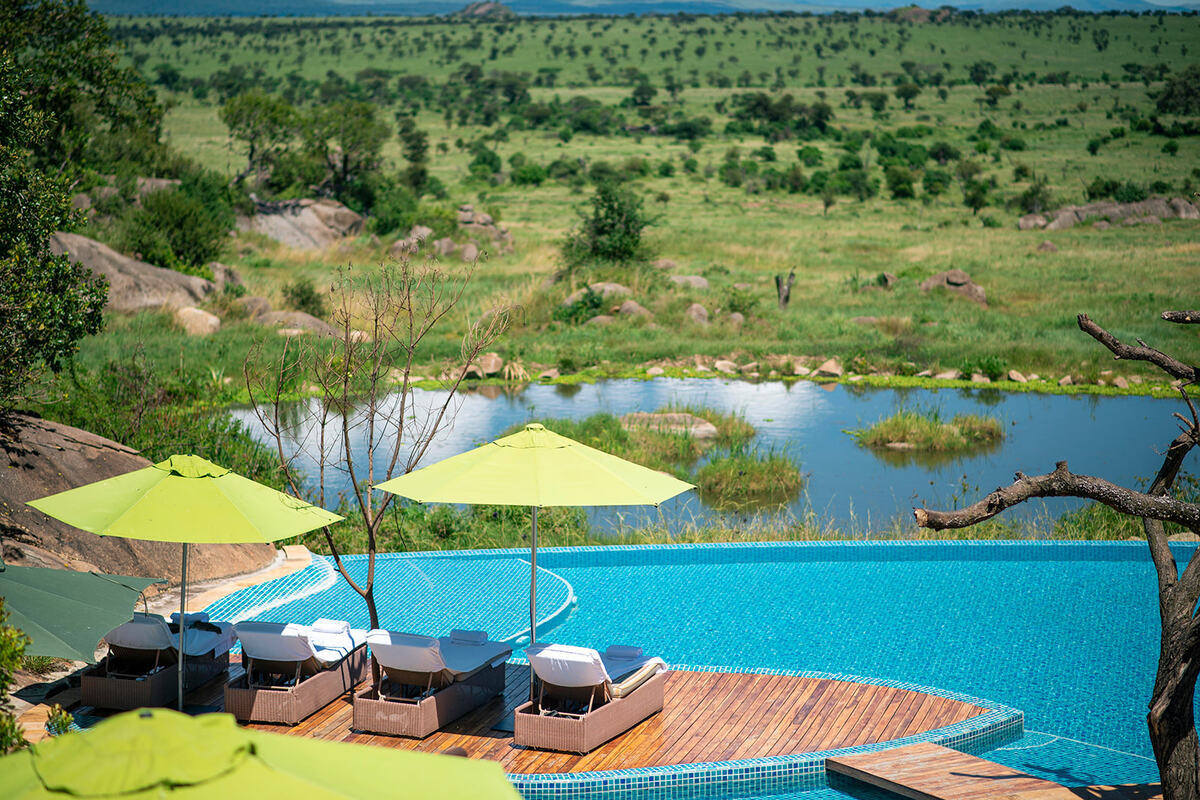 The Safari That Fits Real Life