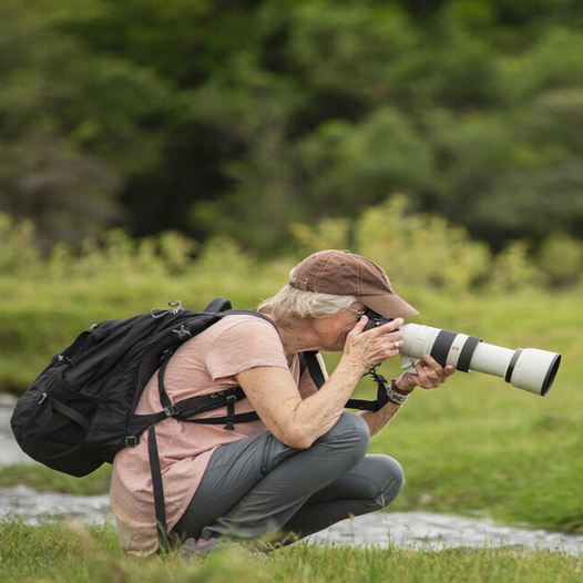 Safari Photography Tips: Why Access Matters More Than Your Camera