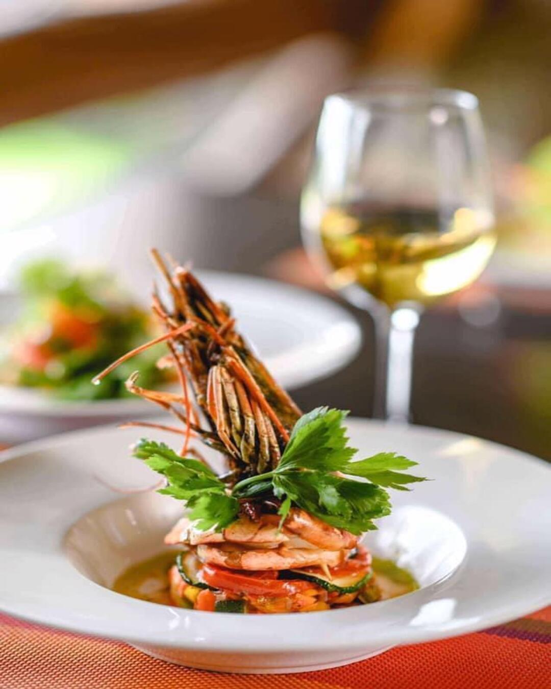 You’re Not Too Old for Safari: Why Your 50s, 70s, and 80s Are the Perfect Time